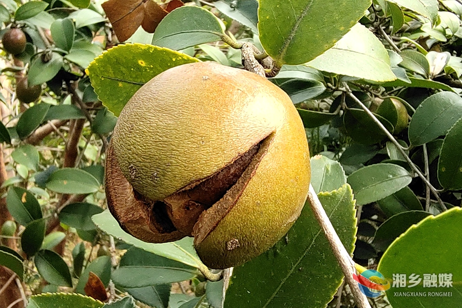 20229271664269475737_167 (1)_����_����.jpg